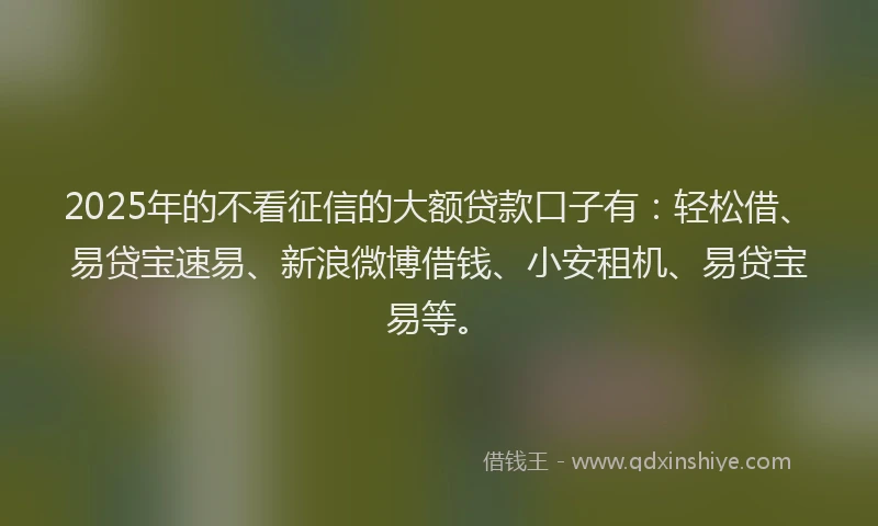 2025年的不看征信的大额贷款口子有：轻松借、易贷宝速易、新浪微博借钱、小安租机、易贷宝易等。