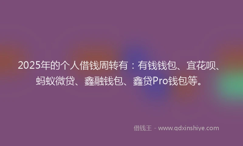 2025年的个人借钱周转有：有钱钱包、宜花呗、蚂蚁微贷、鑫融钱包、鑫贷Pro钱包等。