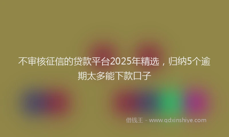不审核征信的贷款平台2025年精选，归纳5个逾期太多能下款口子
