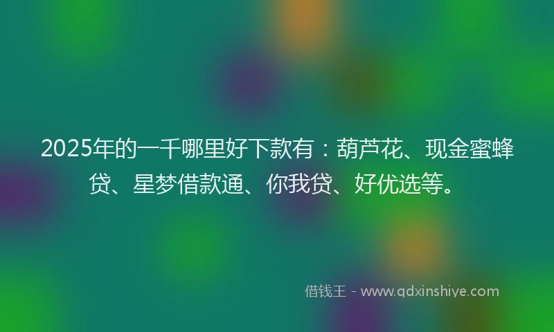 2025年的一千哪里好下款有：葫芦花、现金蜜蜂贷、星梦借款通、你我贷、好优选等。
