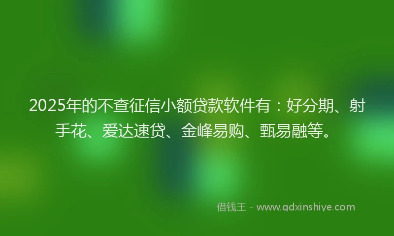 2025年的不查征信小额贷款软件有：好分期、射手花、爱达速贷、金峰易购、甄易融等。