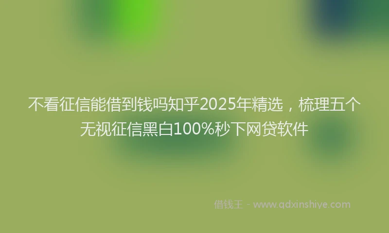 不看征信能借到钱吗知乎2025年精选,梳理五个无视征信黑白100%秒下网贷软件