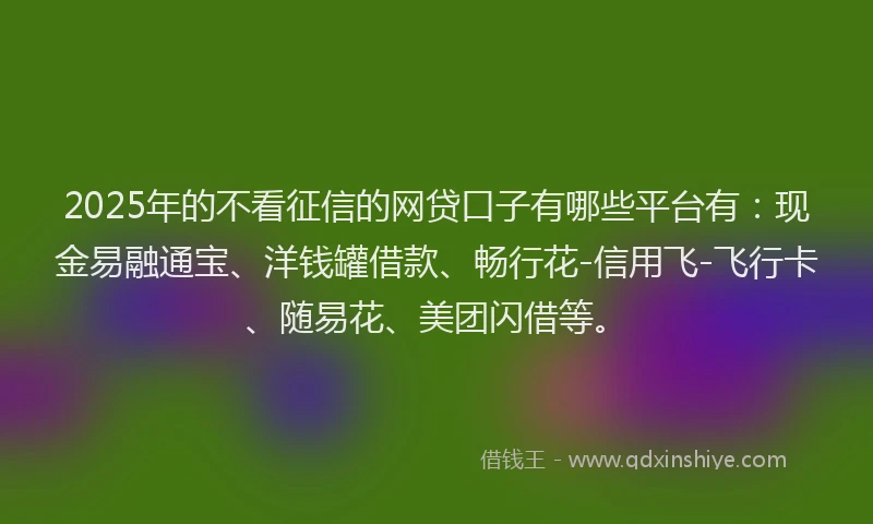 2025年的不看征信的网贷口子有哪些平台有：现金易融通宝、洋钱罐借款、畅行花-信用飞-飞行卡、随易花、美团闪借等。