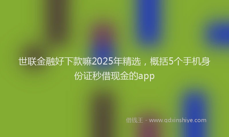 世联金融好下款嘛2025年精选，概括5个手机身份证秒借现金的app