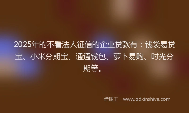 2025年的不看法人征信的企业贷款有：钱袋易贷宝、小米分期宝、通通钱包、萝卜易购、时光分期等。