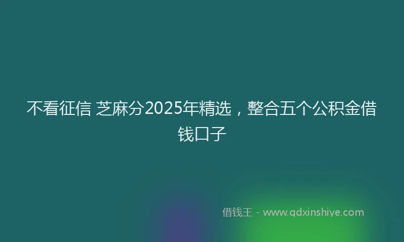 不看征信 芝麻分2025年精选，整合五个公积金借钱口子