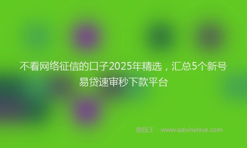 不看网络征信的口子2025年精选，汇总5个新号易贷速审秒下款平台