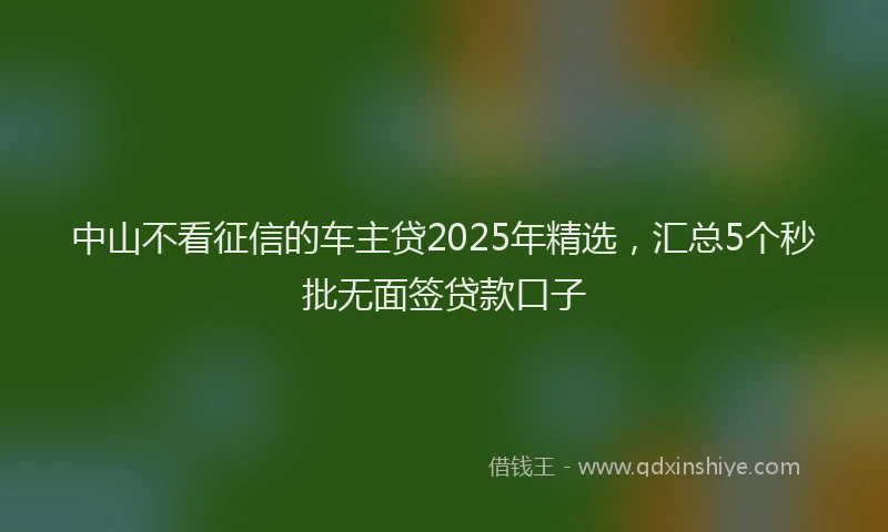 中山不看征信的车主贷2025年精选，汇总5个秒批无面签贷款口子