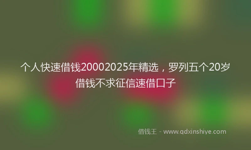 个人快速借钱20002025年精选，罗列五个20岁借钱不求征信速借口子