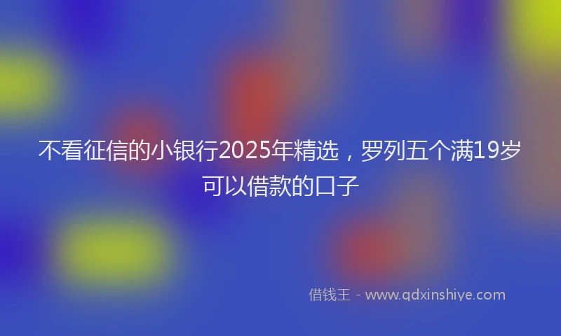 不看征信的小银行2025年精选，罗列五个满19岁可以借款的口子