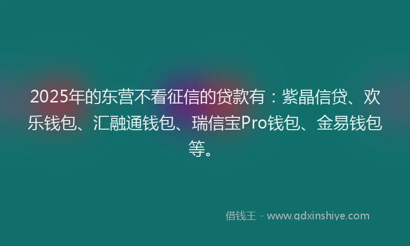 2025年的东营不看征信的贷款有:紫晶信贷、欢乐钱包、汇融通钱包、瑞信宝Pro钱包、金易钱包等。