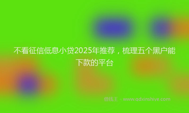 不看征信低息小贷2025年推荐，梳理五个黑户能下款的平台