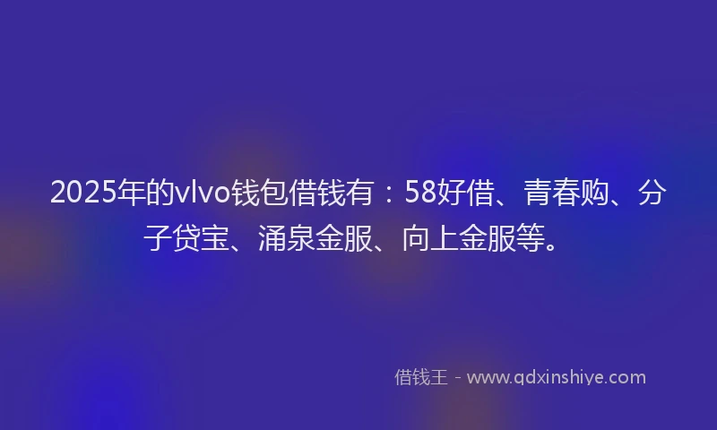 2025年的vlvo钱包借钱有：58好借、青春购、分子贷宝、涌泉金服、向上金服等。