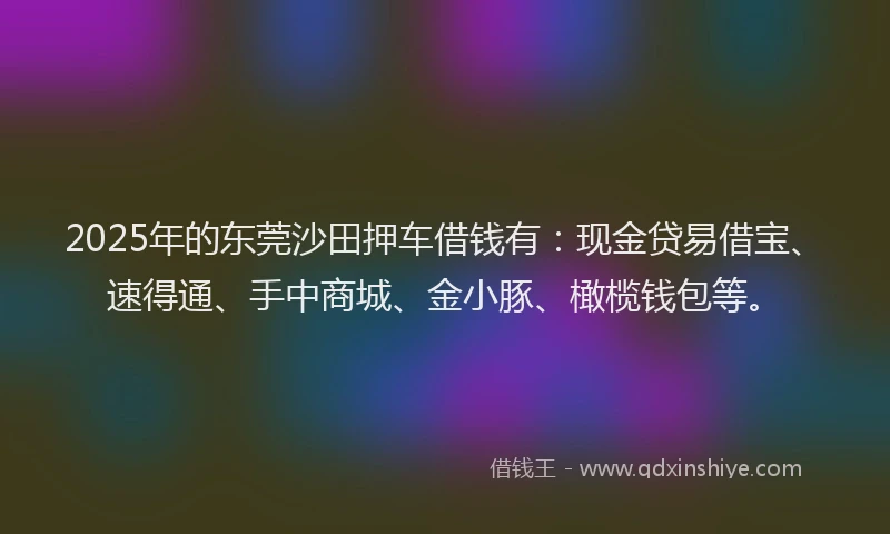 2025年的东莞沙田押车借钱有：现金贷易借宝、速得通、手中商城、金小豚、橄榄钱包等。