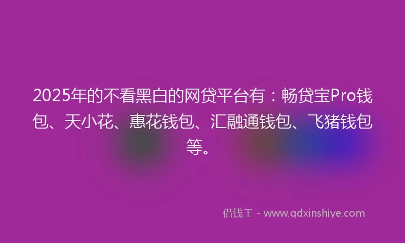 2025年的不看黑白的网贷平台有：畅贷宝Pro钱包、天小花、惠花钱包、汇融通钱包、飞猪钱包等。