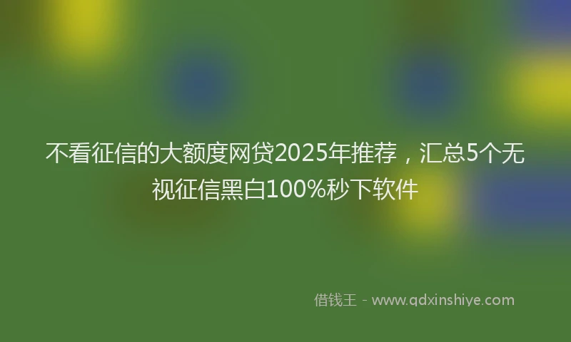 不看征信的大额度网贷2025年推荐，汇总5个无视征信黑白100%秒下软件
