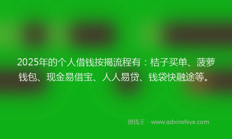 2025年的个人借钱按揭流程有：桔子买单、菠萝钱包、现金易借宝、人人易贷、钱袋快融途等。