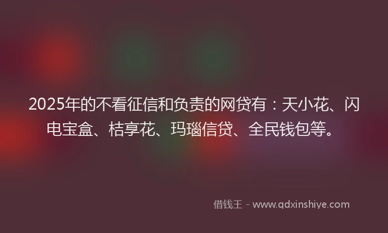 2025年的不看征信和负责的网贷有：天小花、闪电宝盒、桔享花、玛瑙信贷、全民钱包等。