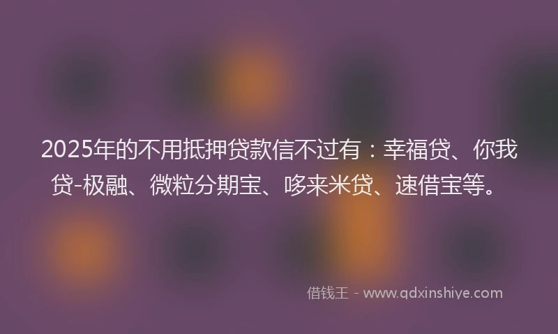 2025年的不用抵押贷款信不过有：幸福贷、你我贷-极融、微粒分期宝、哆来米贷、速借宝等。