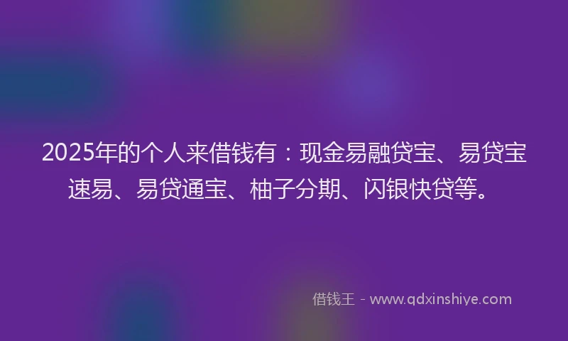 2025年的个人来借钱有：现金易融贷宝、易贷宝速易、易贷通宝、柚子分期、闪银快贷等。