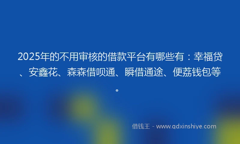 2025年的不用审核的借款平台有哪些有：幸福贷、安鑫花、森森借呗通、瞬借通途、便荔钱包等。