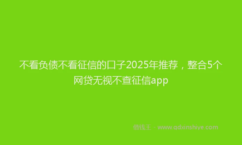 不看负债不看征信的口子2025年推荐，整合5个网贷无视不查征信app