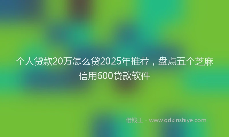 个人贷款20万怎么贷2025年推荐，盘点五个芝麻信用600贷款软件