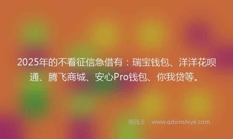 2025年的不看征信急借有：瑞宝钱包、洋洋花呗通、腾飞商城、安心Pro钱包、你我贷等。
