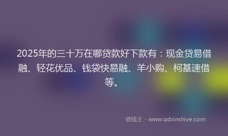 2025年的三十万在哪贷款好下款有：现金贷易借融、轻花优品、钱袋快易融、羊小购、柯基速借等。