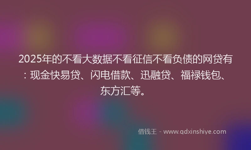2025年的不看大数据不看征信不看负债的网贷有：现金快易贷、闪电借款、迅融贷、福禄钱包、东方汇等。
