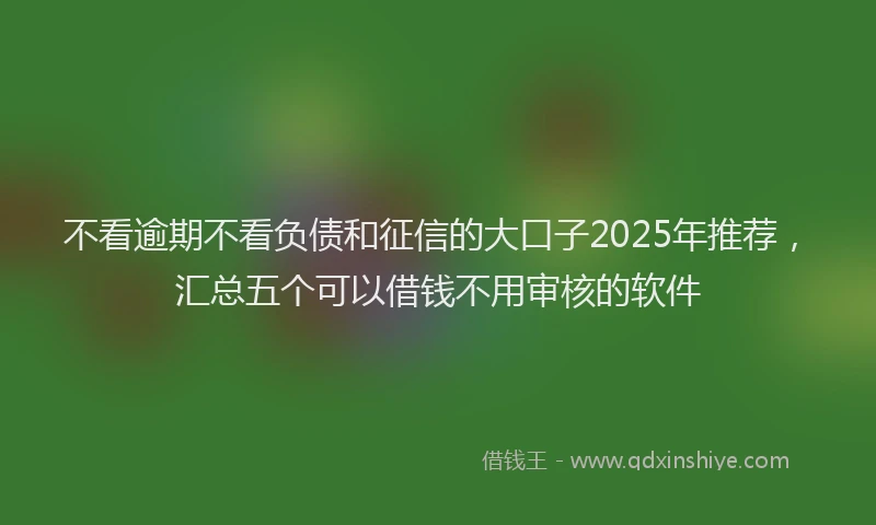 不看逾期不看负债和征信的大口子2025年推荐，汇总五个可以借钱不用审核的软件
