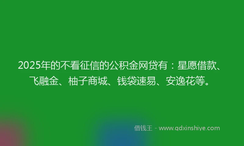 2025年的不看征信的公积金网贷有：星愿借款、飞融金、柚子商城、钱袋速易、安逸花等。