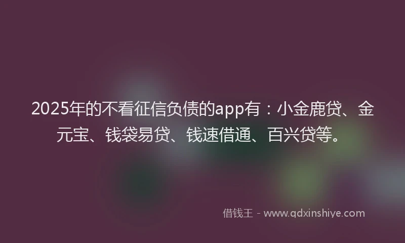 2025年的不看征信负债的app有：小金鹿贷、金元宝、钱袋易贷、钱速借通、百兴贷等。