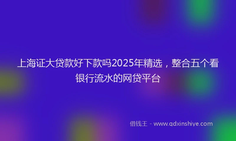 上海证大贷款好下款吗2025年精选，整合五个看银行流水的网贷平台