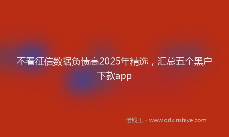 不看征信数据负债高2025年精选，汇总五个黑户下款app