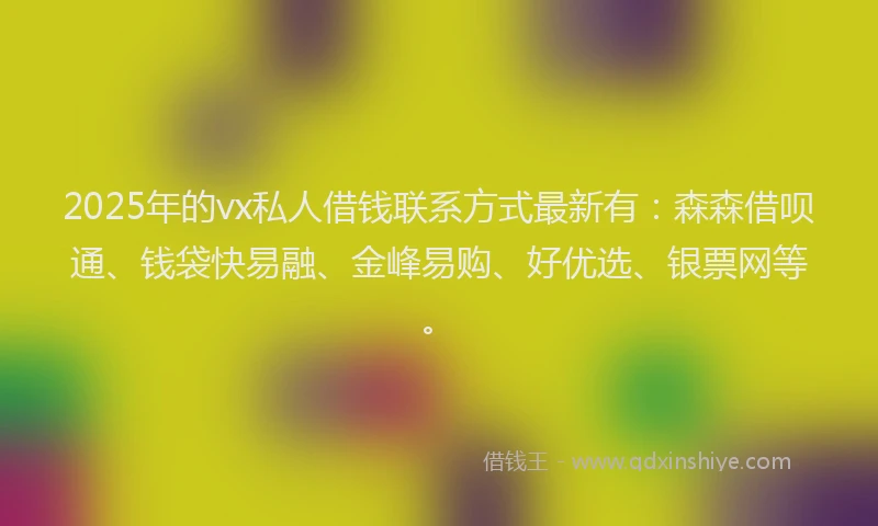 2025年的vx私人借钱联系方式最新有：森森借呗通、钱袋快易融、金峰易购、好优选、银票网等。