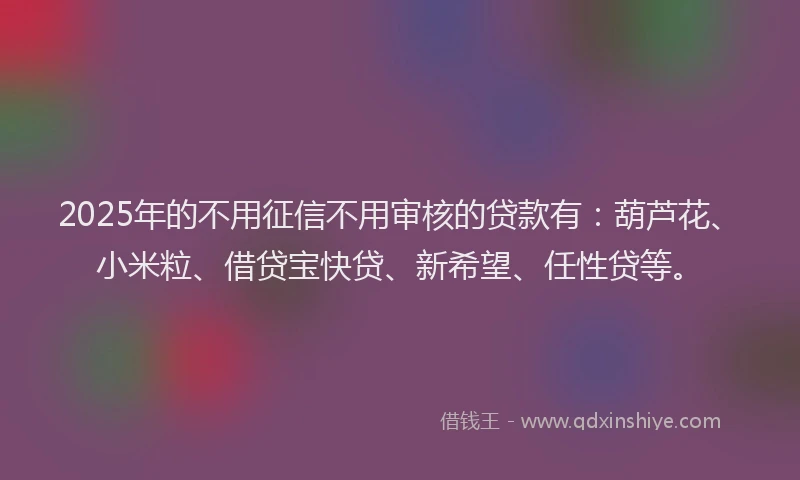 2025年的不用征信不用审核的贷款有：葫芦花、小米粒、借贷宝快贷、新希望、任性贷等。