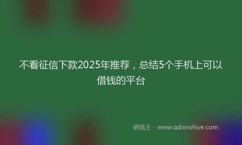 不看征信下款2025年推荐，总结5个手机上可以借钱的平台