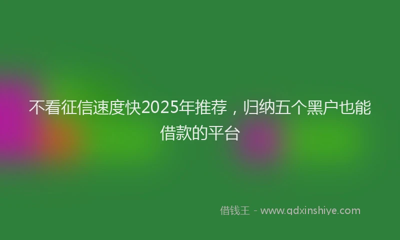 不看征信速度快2025年推荐，归纳五个黑户也能借款的平台