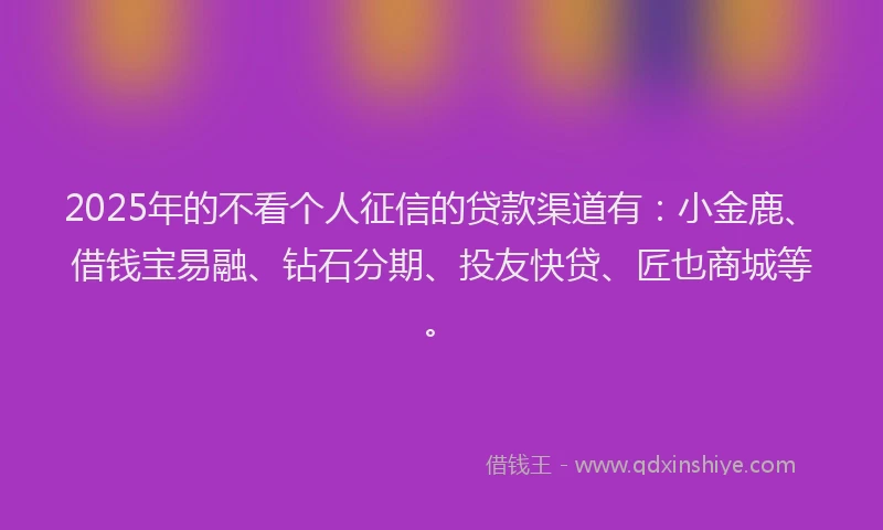 2025年的不看个人征信的贷款渠道有：小金鹿、借钱宝易融、钻石分期、投友快贷、匠也商城等。