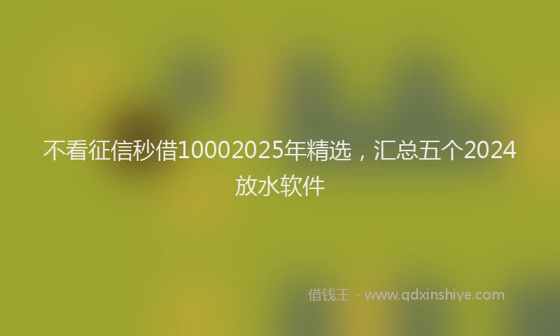 不看征信秒借10002025年精选,汇总五个2024放水软件