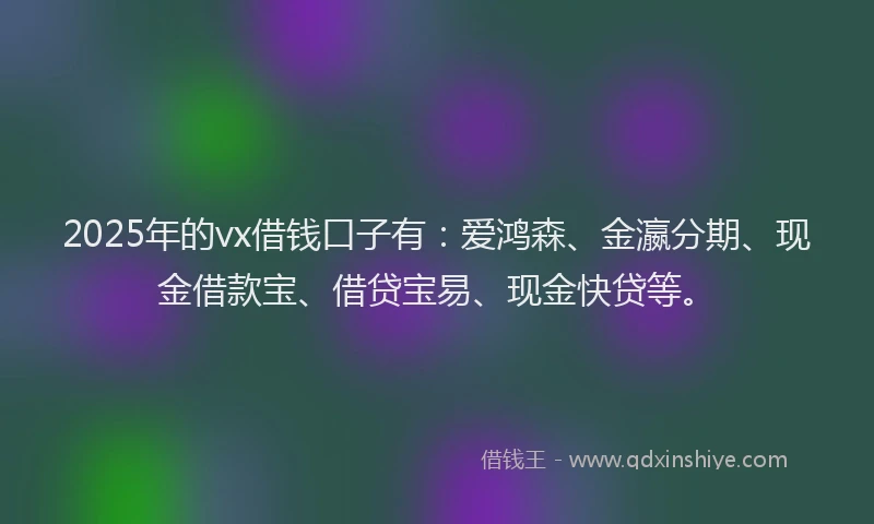 2025年的vx借钱口子有：爱鸿森、金瀛分期、现金借款宝、借贷宝易、现金快贷等。