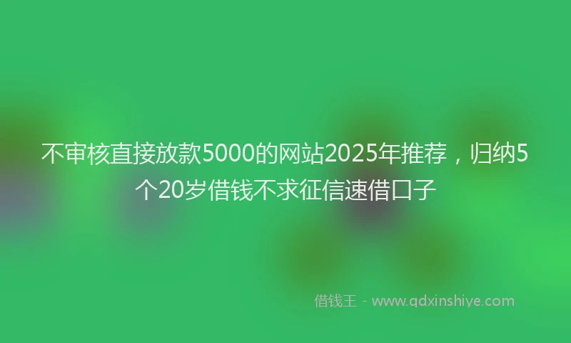 不审核直接放款5000的网站2025年推荐，归纳5个20岁借钱不求征信速借口子
