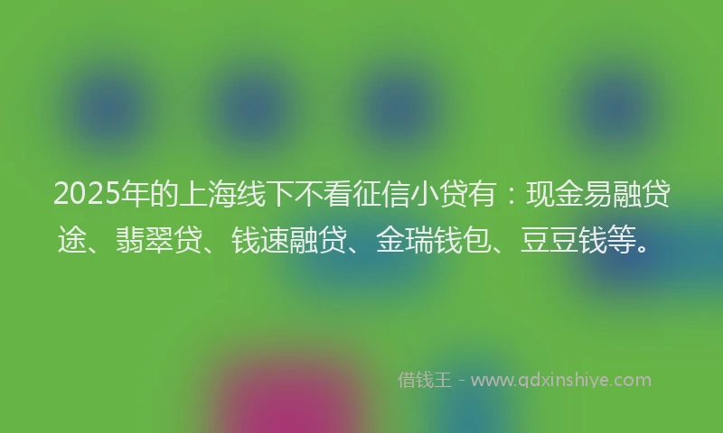2025年的上海线下不看征信小贷有：现金易融贷途、翡翠贷、钱速融贷、金瑞钱包、豆豆钱等。