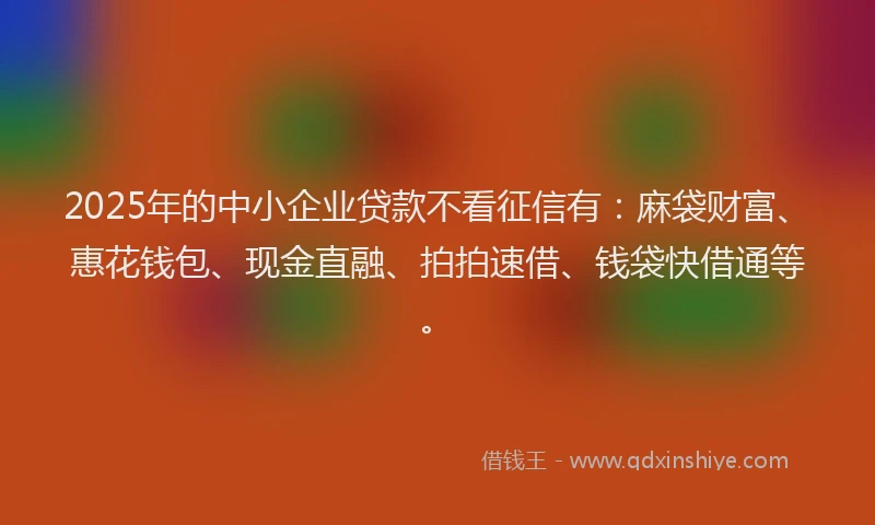 2025年的中小企业贷款不看征信有:麻袋财富、惠花钱包、现金直融、拍拍速借、钱袋快借通等。