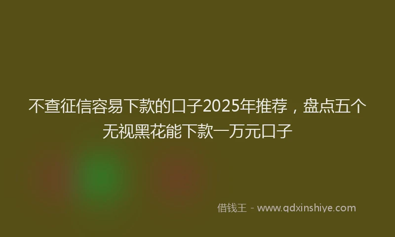 不查征信容易下款的口子2025年推荐，盘点五个无视黑花能下款一万元口子