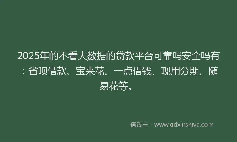 2025年的不看大数据的贷款平台可靠吗安全吗有：省呗借款、宝来花、一点借钱、现用分期、随易花等。