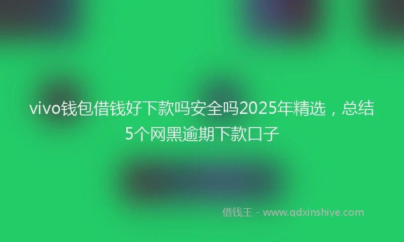 vivo钱包借钱好下款吗安全吗2025年精选，总结5个网黑逾期下款口子