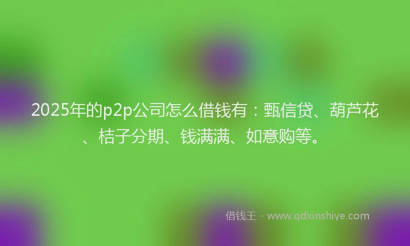 2025年的p2p公司怎么借钱有：甄信贷、葫芦花、桔子分期、钱满满、如意购等。