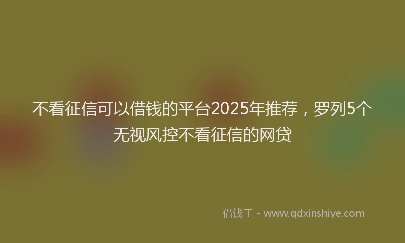 不看征信可以借钱的平台2025年推荐，罗列5个无视风控不看征信的网贷